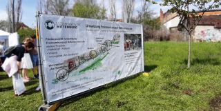 Flanieren am Stadthafen Flanieren am Stadthafen